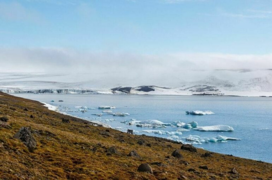 Arctic Data Center: where servers embrace the cold