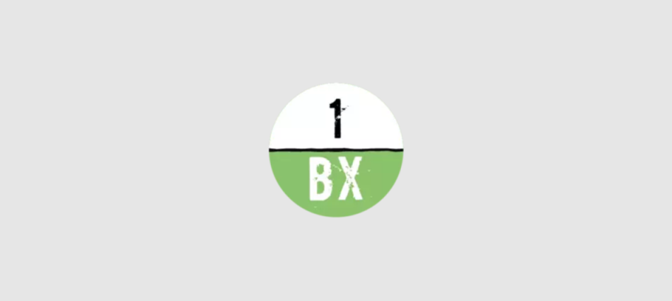 1BX·host Introduces Max.Online Server Plan for the Russian Messenger Max